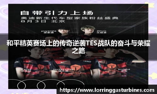 和平精英赛场上的传奇逆袭TES战队的奋斗与荣耀之路