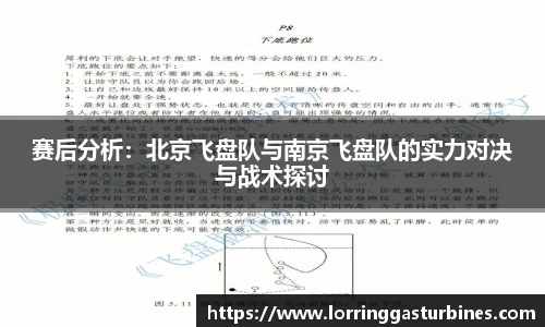 赛后分析：北京飞盘队与南京飞盘队的实力对决与战术探讨