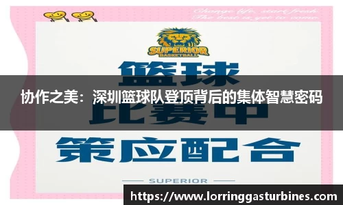协作之美：深圳篮球队登顶背后的集体智慧密码